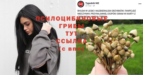кокаин премиум Алексин