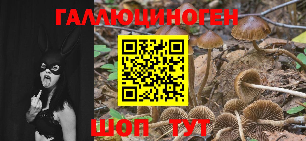 Советская Гавань  Псилоцибиновые грибы GOLDEN TEACHER  Вход с VPN 